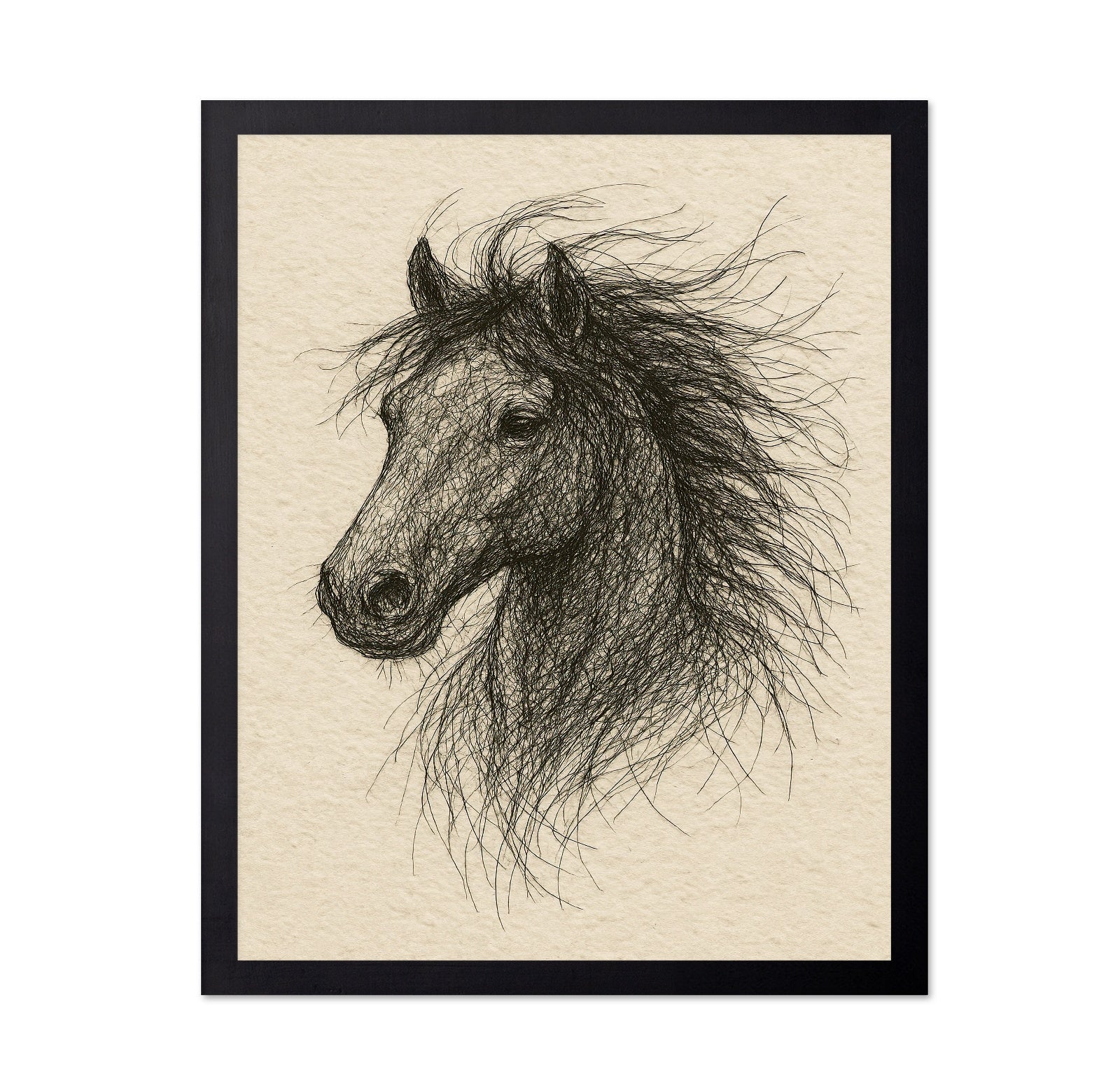 Horse Head Sketch