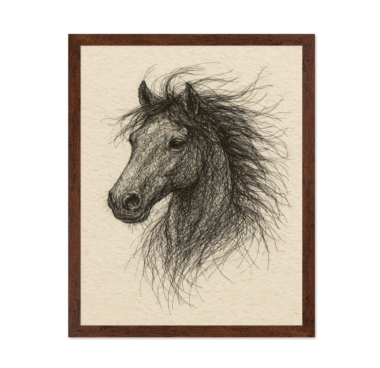 Horse Head Sketch