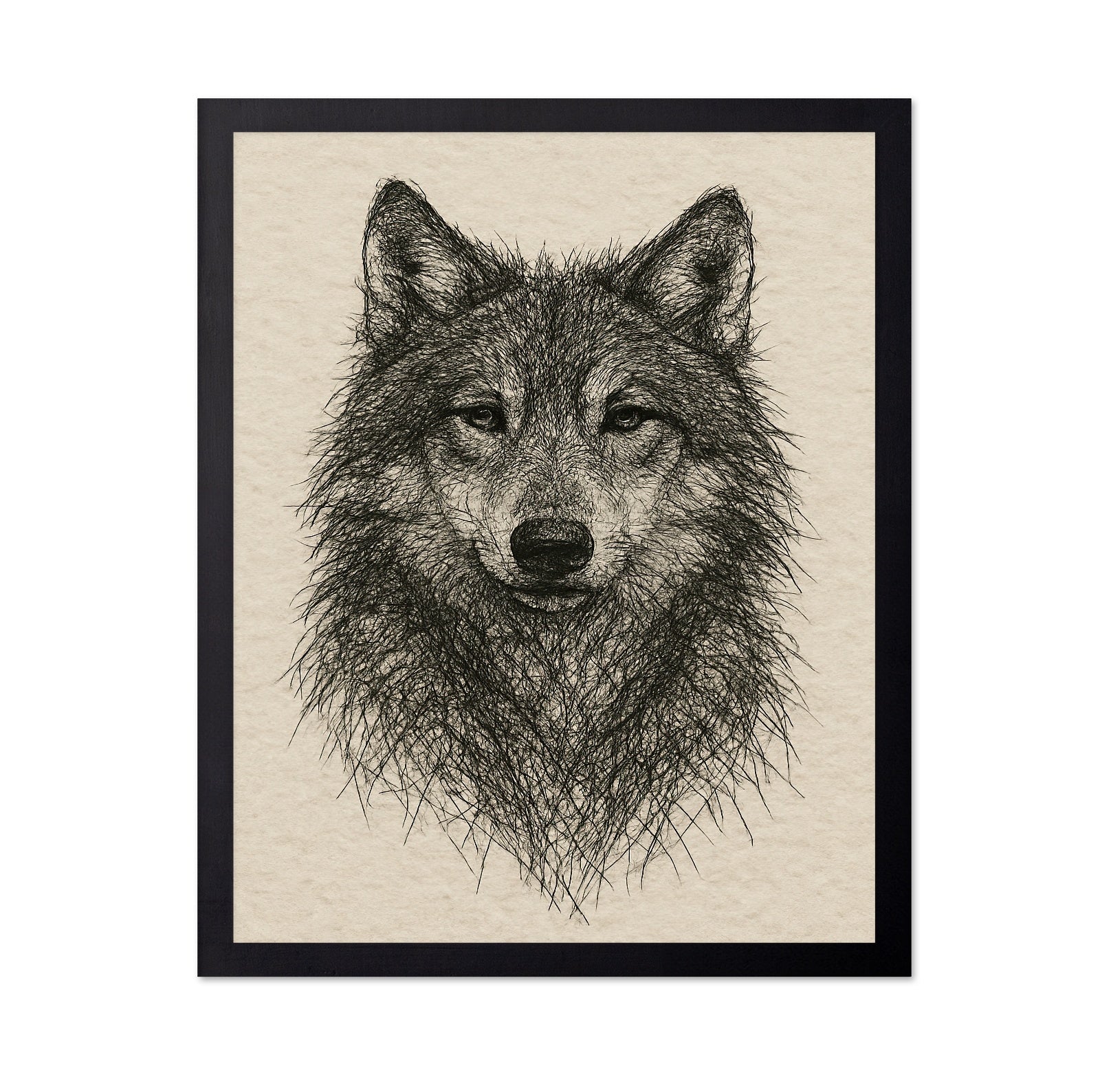 Wild Wolf Portrait
