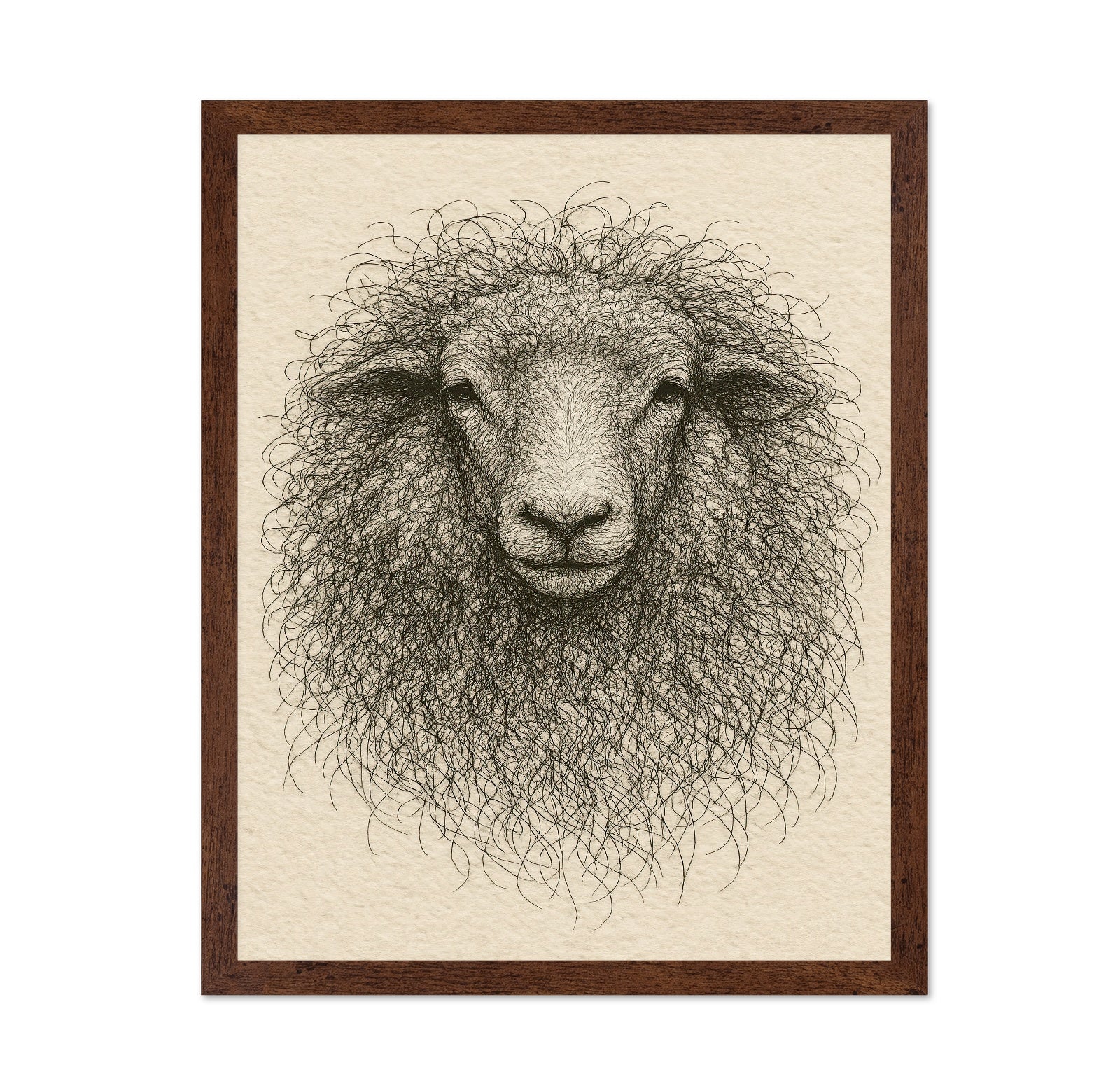 Curly Sheep Portrait