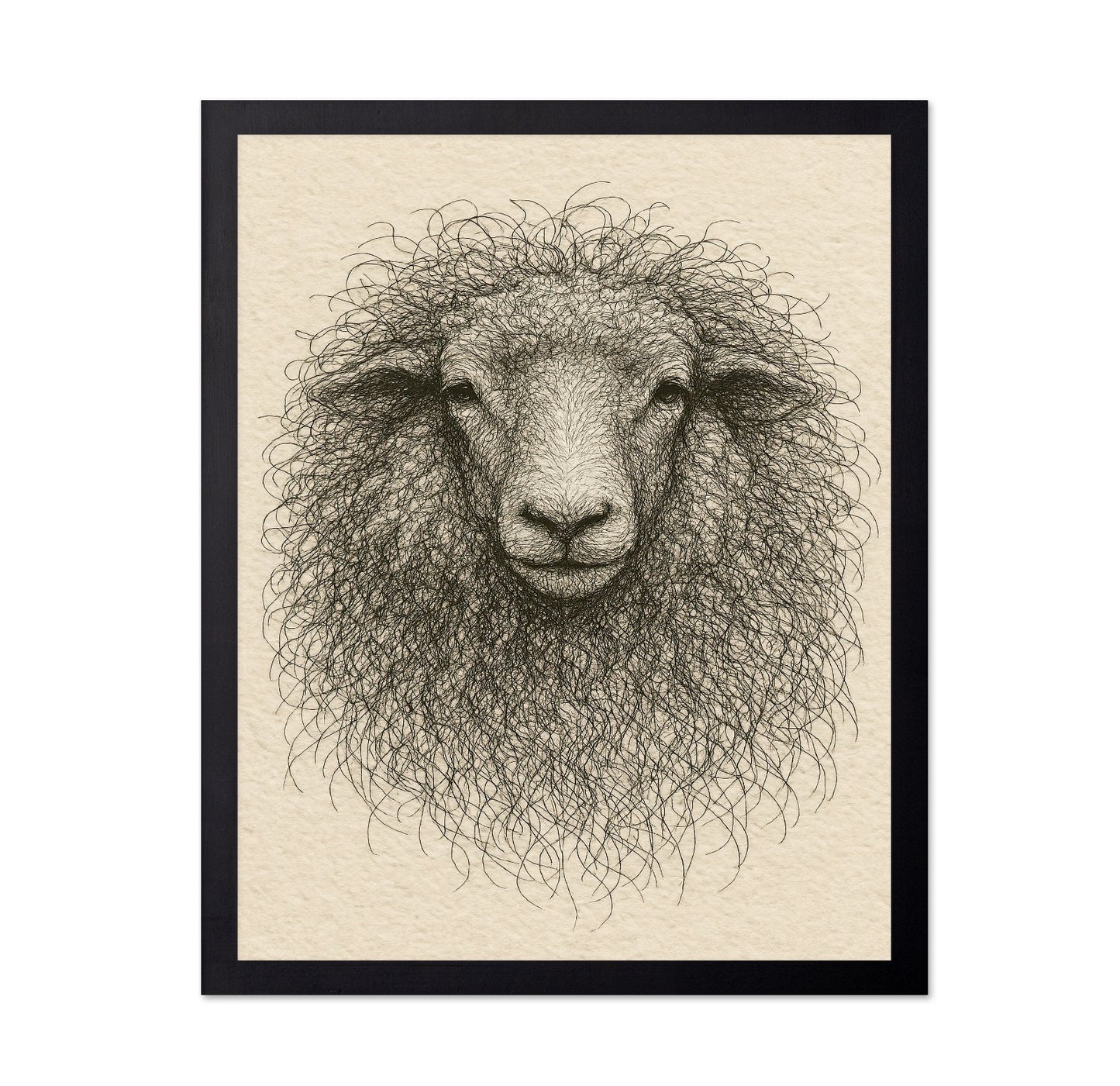Curly Sheep Portrait