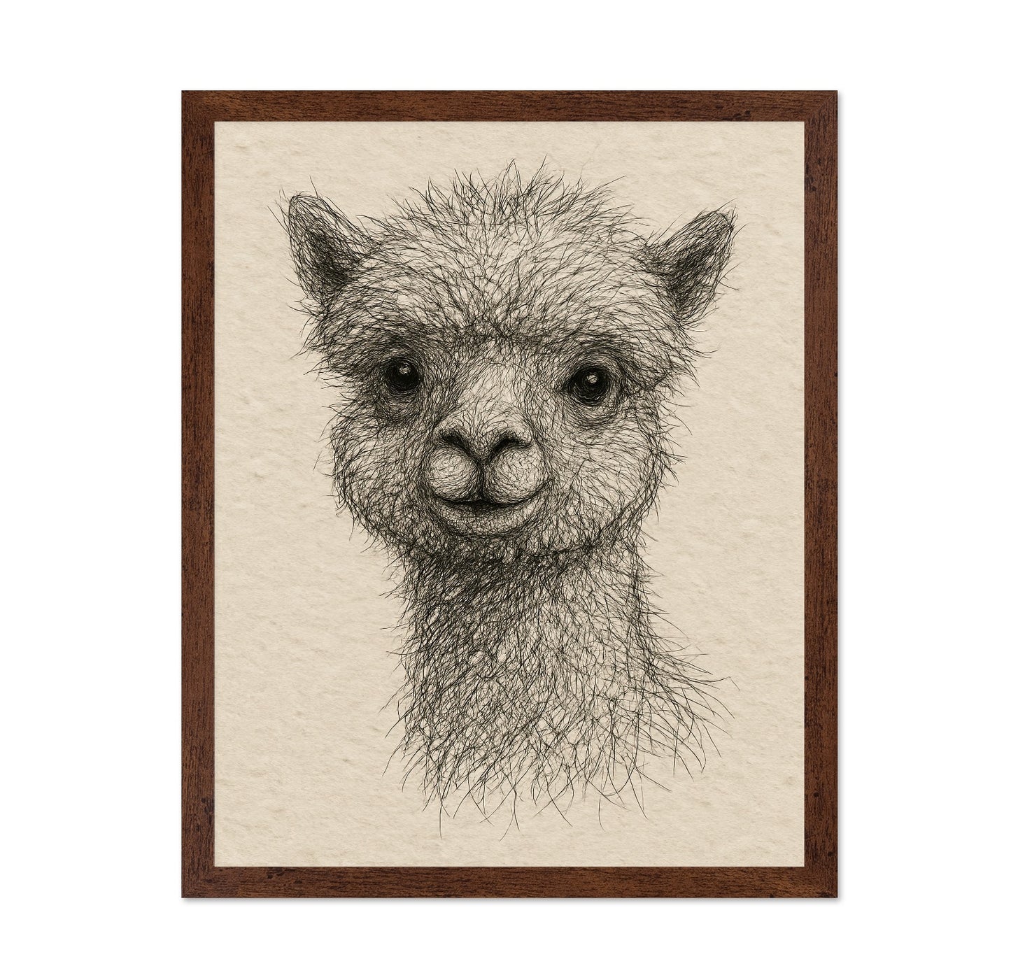 Gentle Alpaca Face