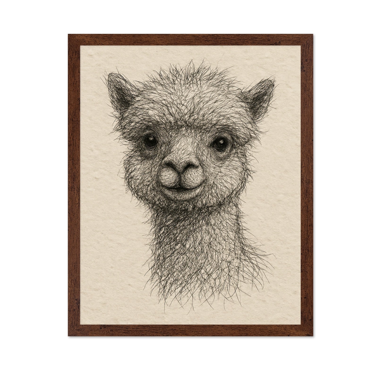 Gentle Alpaca Face