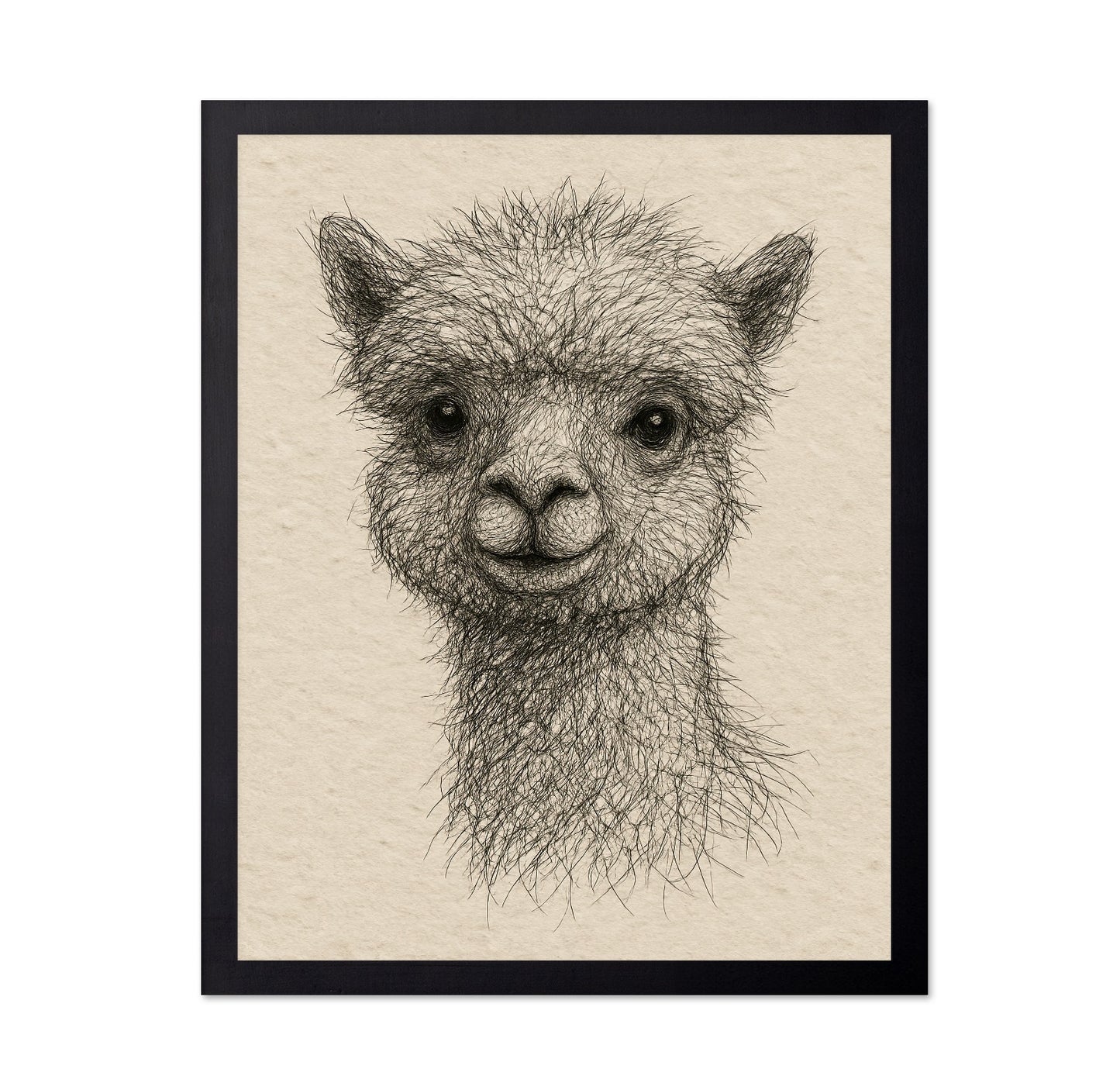 Gentle Alpaca Face