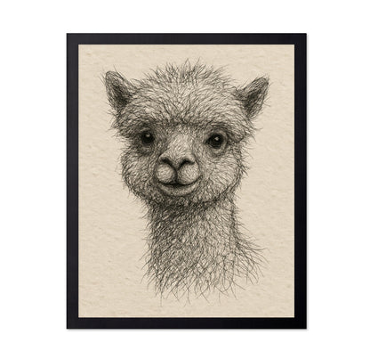 Gentle Alpaca Face