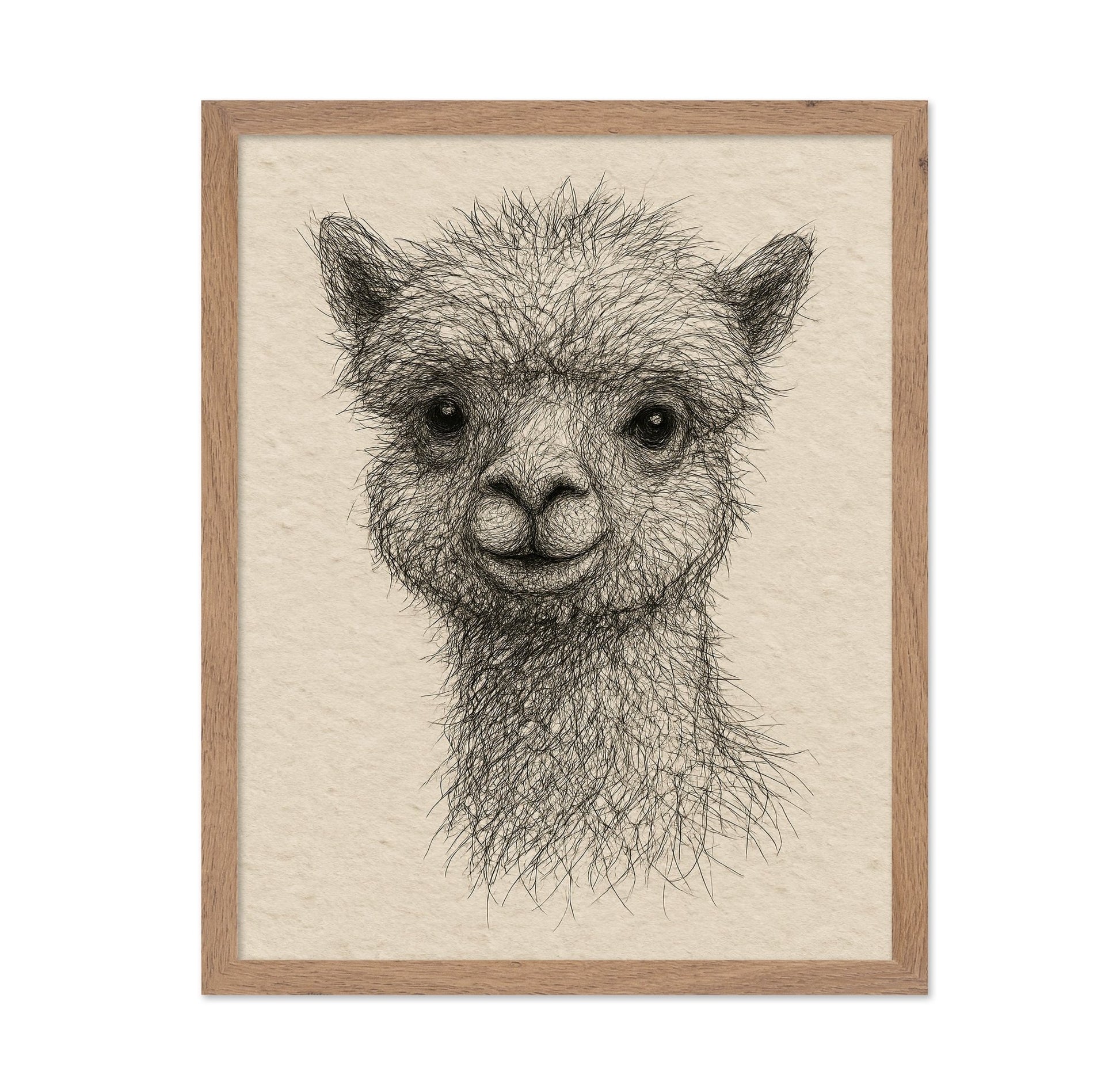 Gentle Alpaca Face