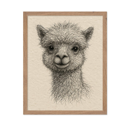 Gentle Alpaca Face