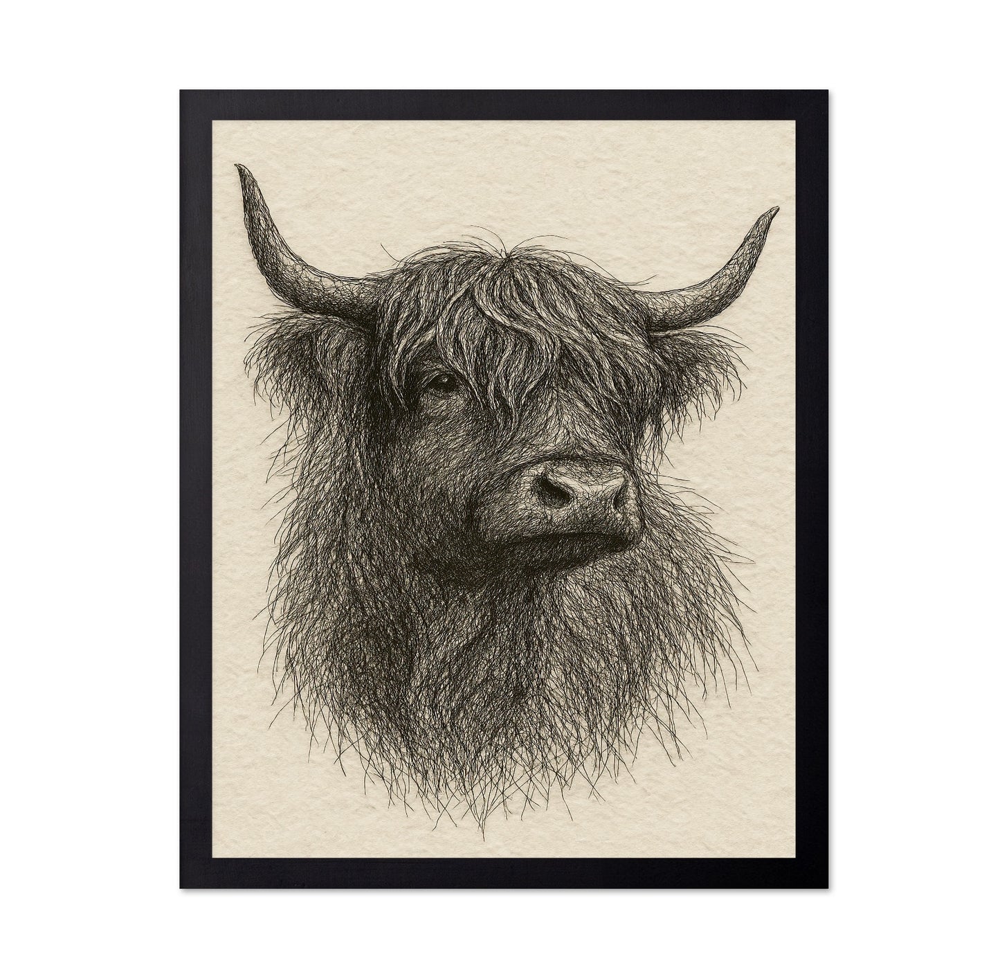 Sketch Highland Cow