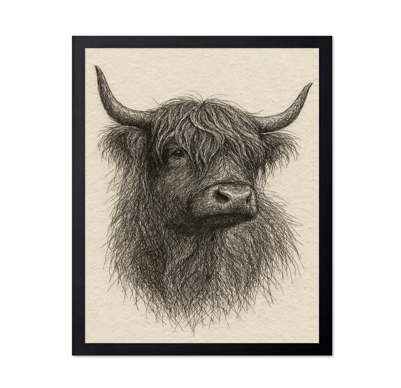 Sketch Highland Cow