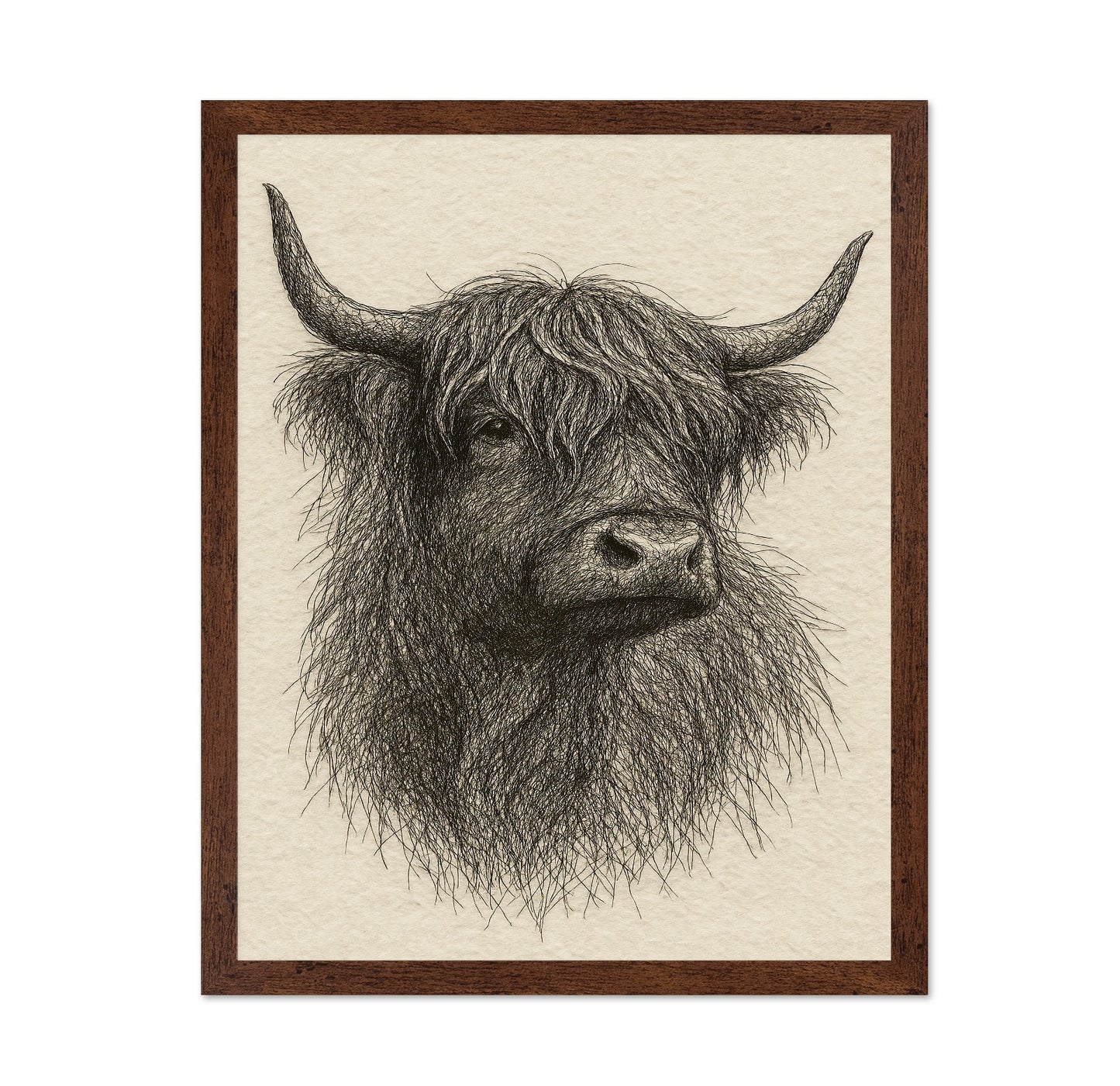 Sketch Highland Cow