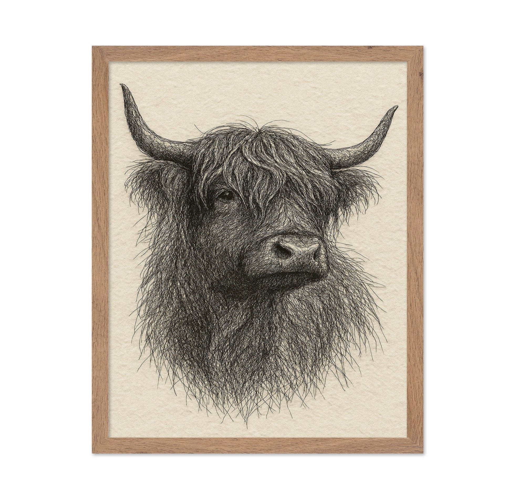 Sketch Highland Cow