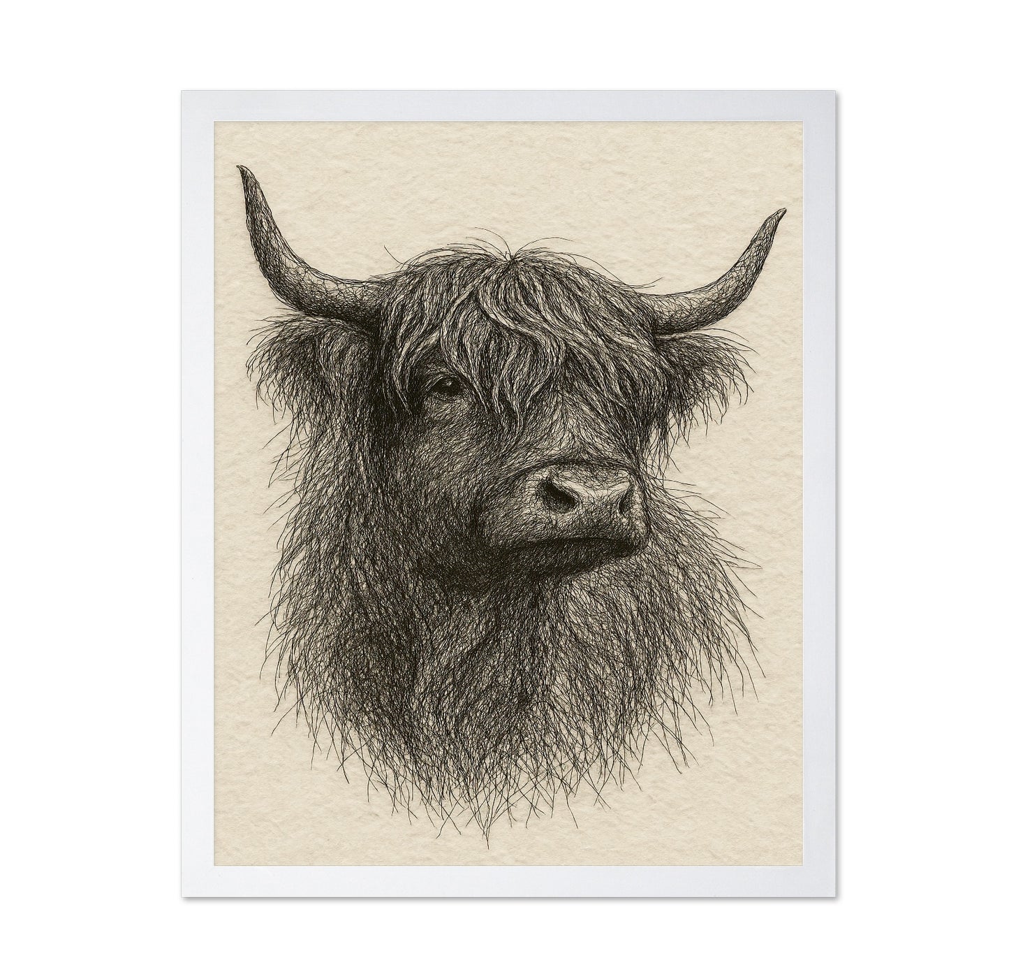 Sketch Highland Cow