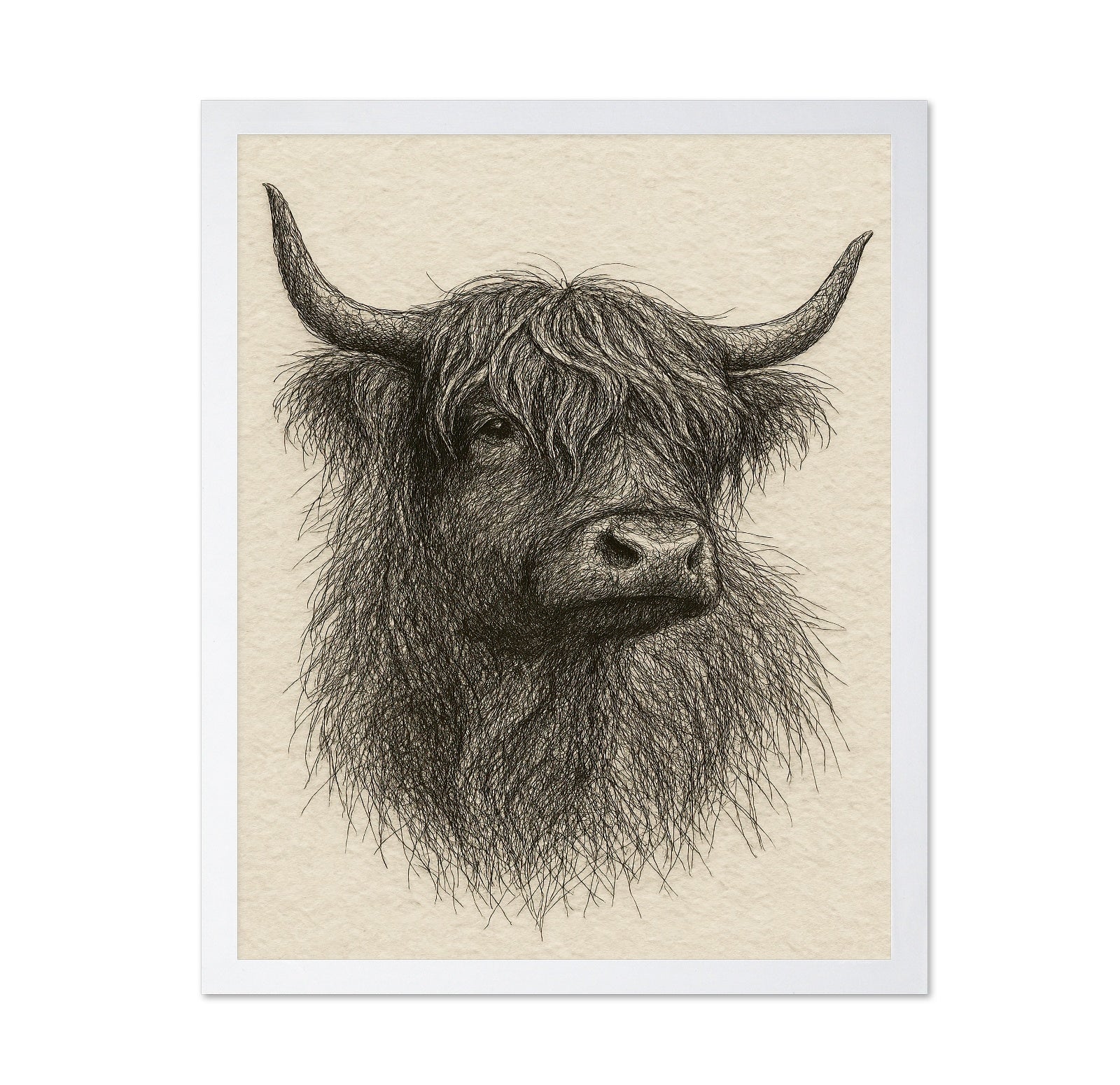 Sketch Highland Cow