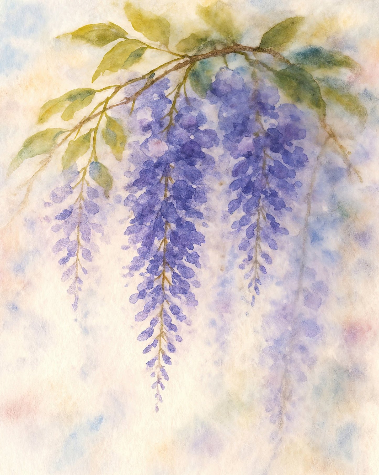 Purple Wisteria Branch
