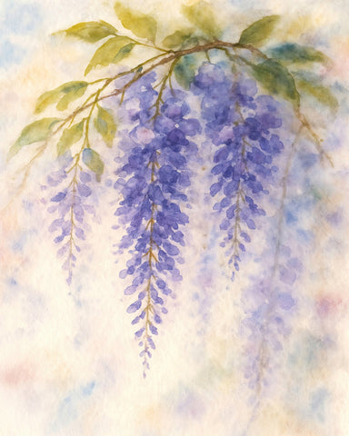 Purple Wisteria Branch