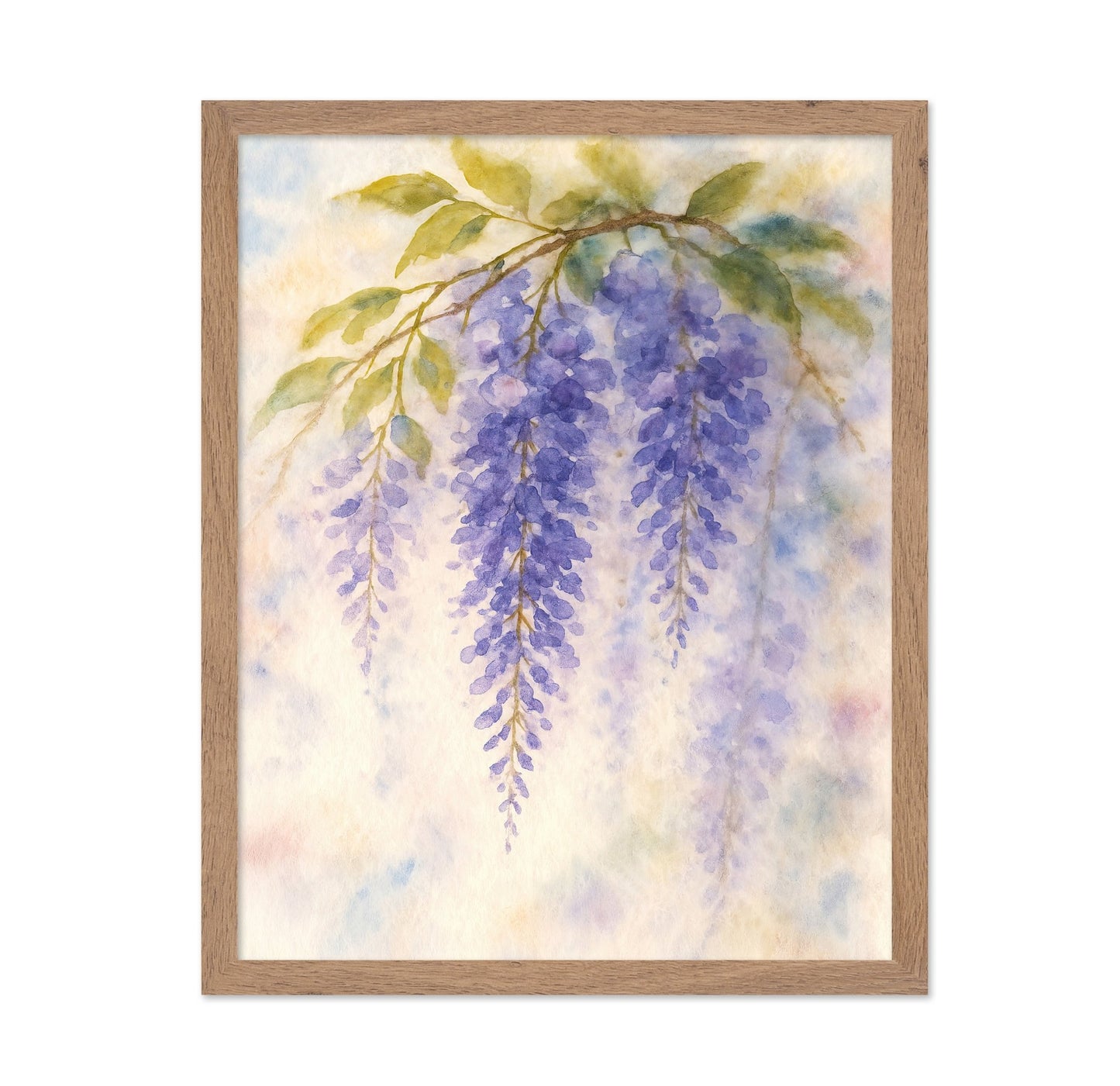 Purple Wisteria Branch