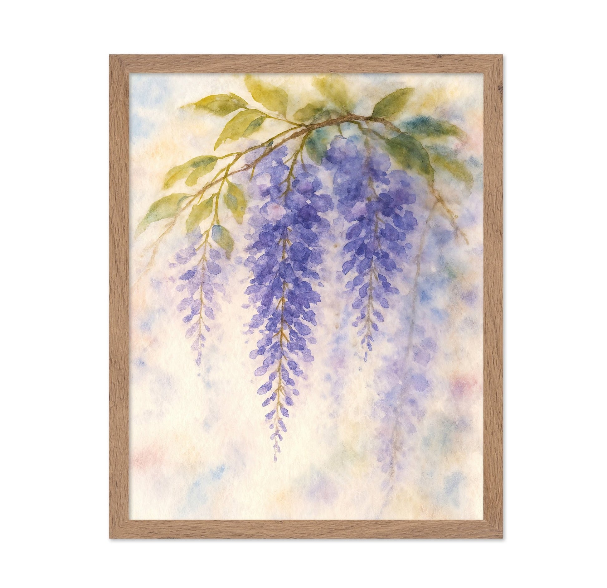 Purple Wisteria Branch