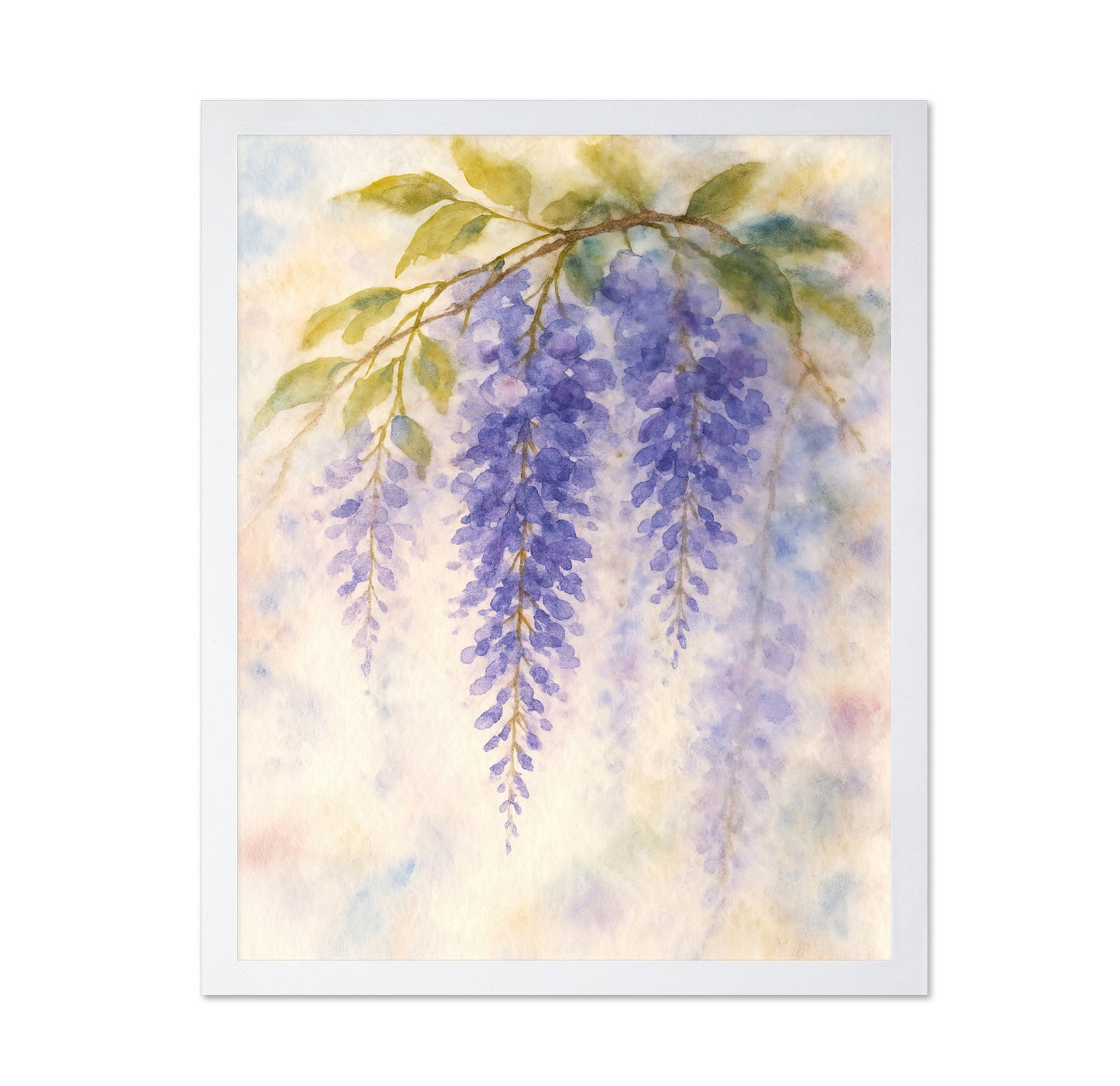 Purple Wisteria Branch