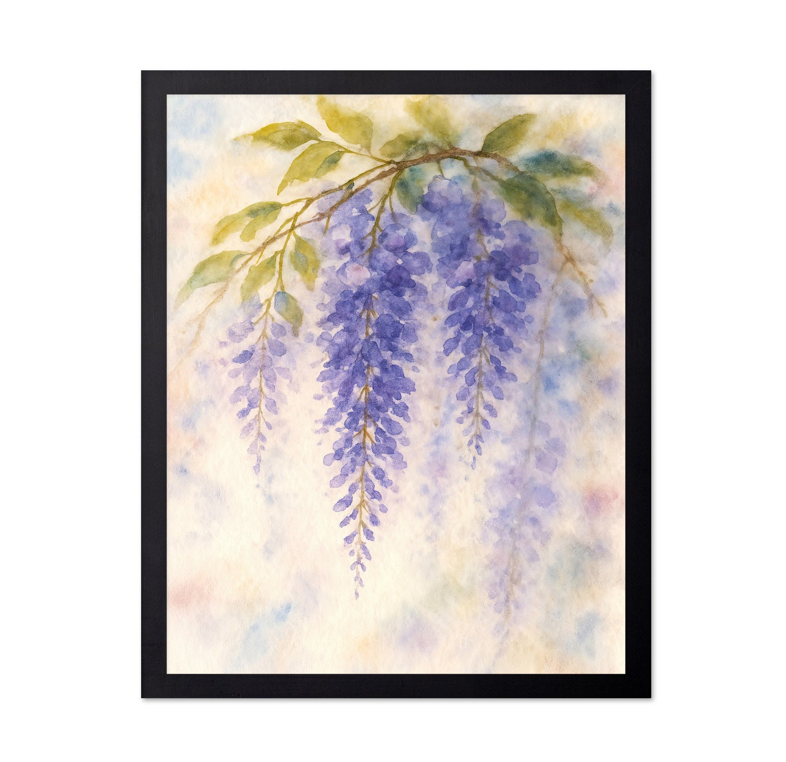 Purple Wisteria Branch