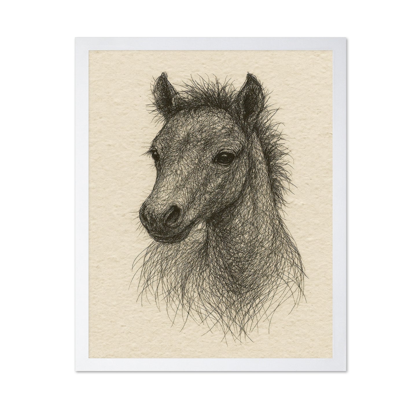 Sketch Horse Head