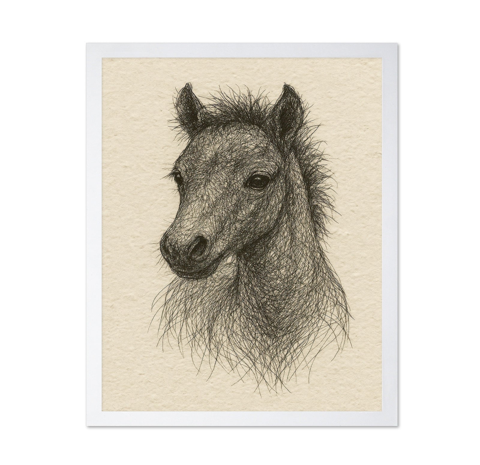 Sketch Horse Head