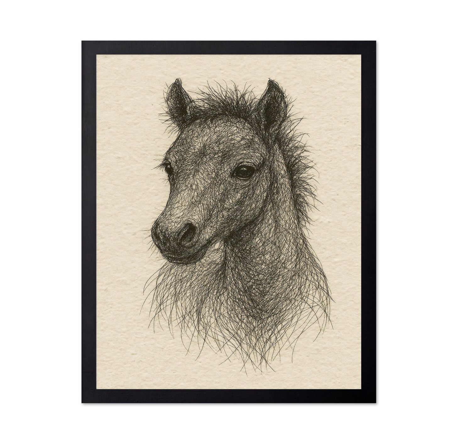 Sketch Horse Head