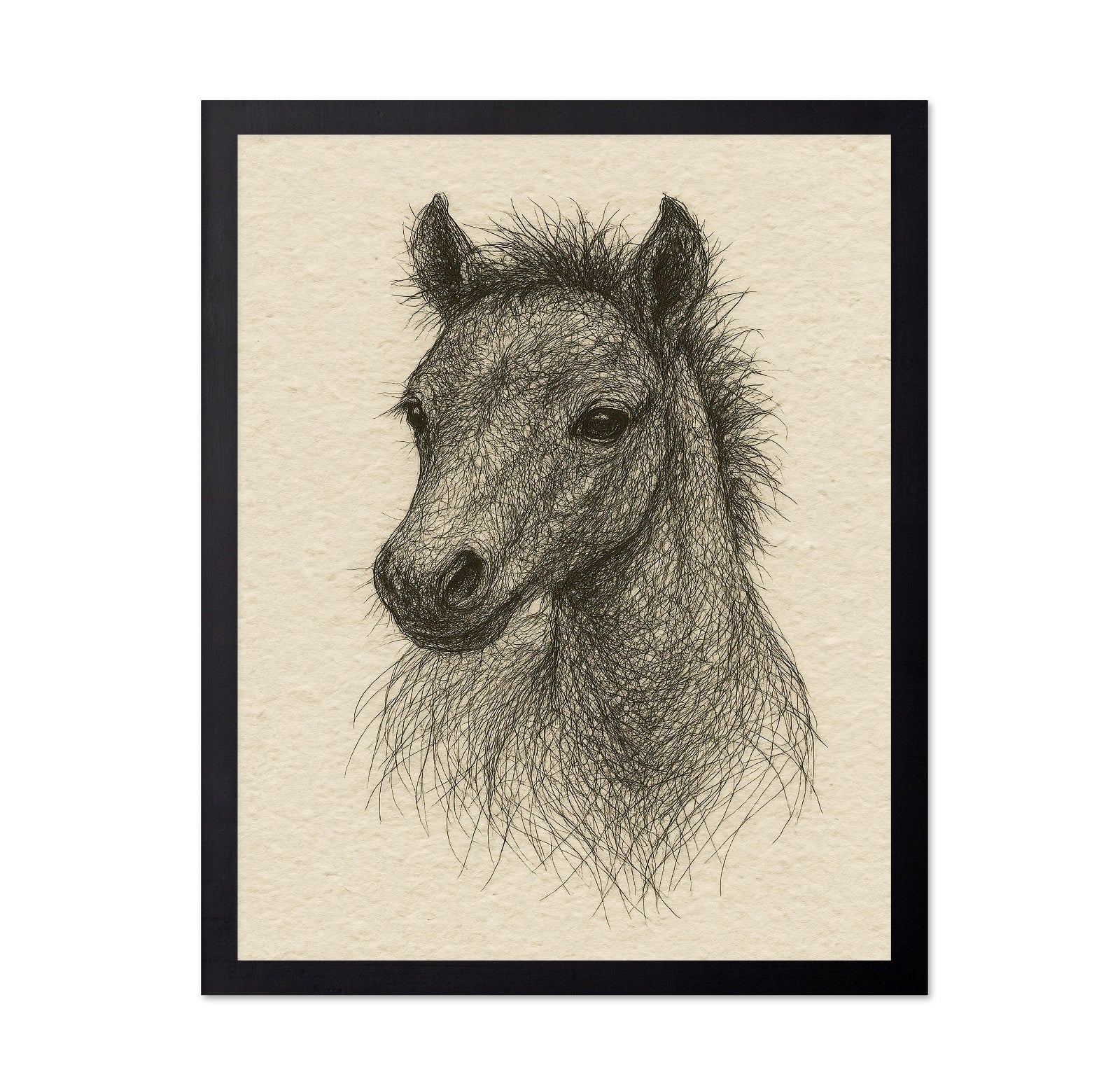 Sketch Horse Head