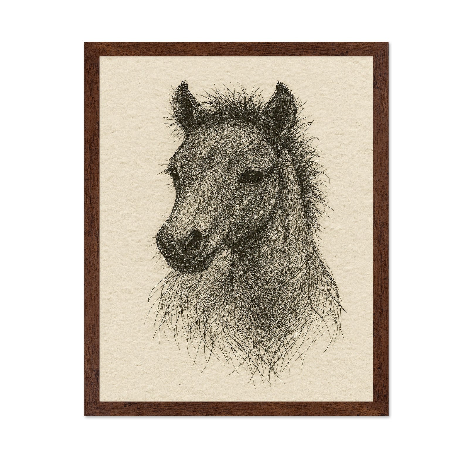 Sketch Horse Head