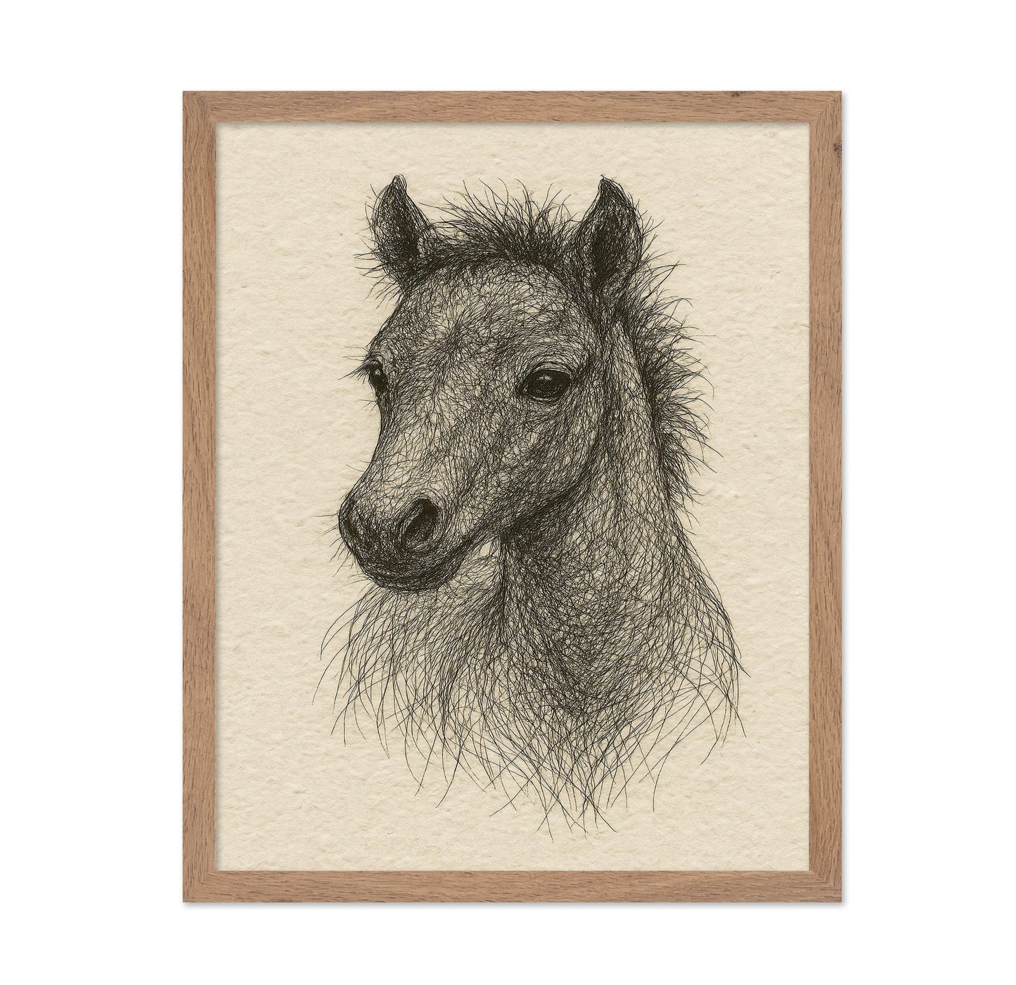 Sketch Horse Head