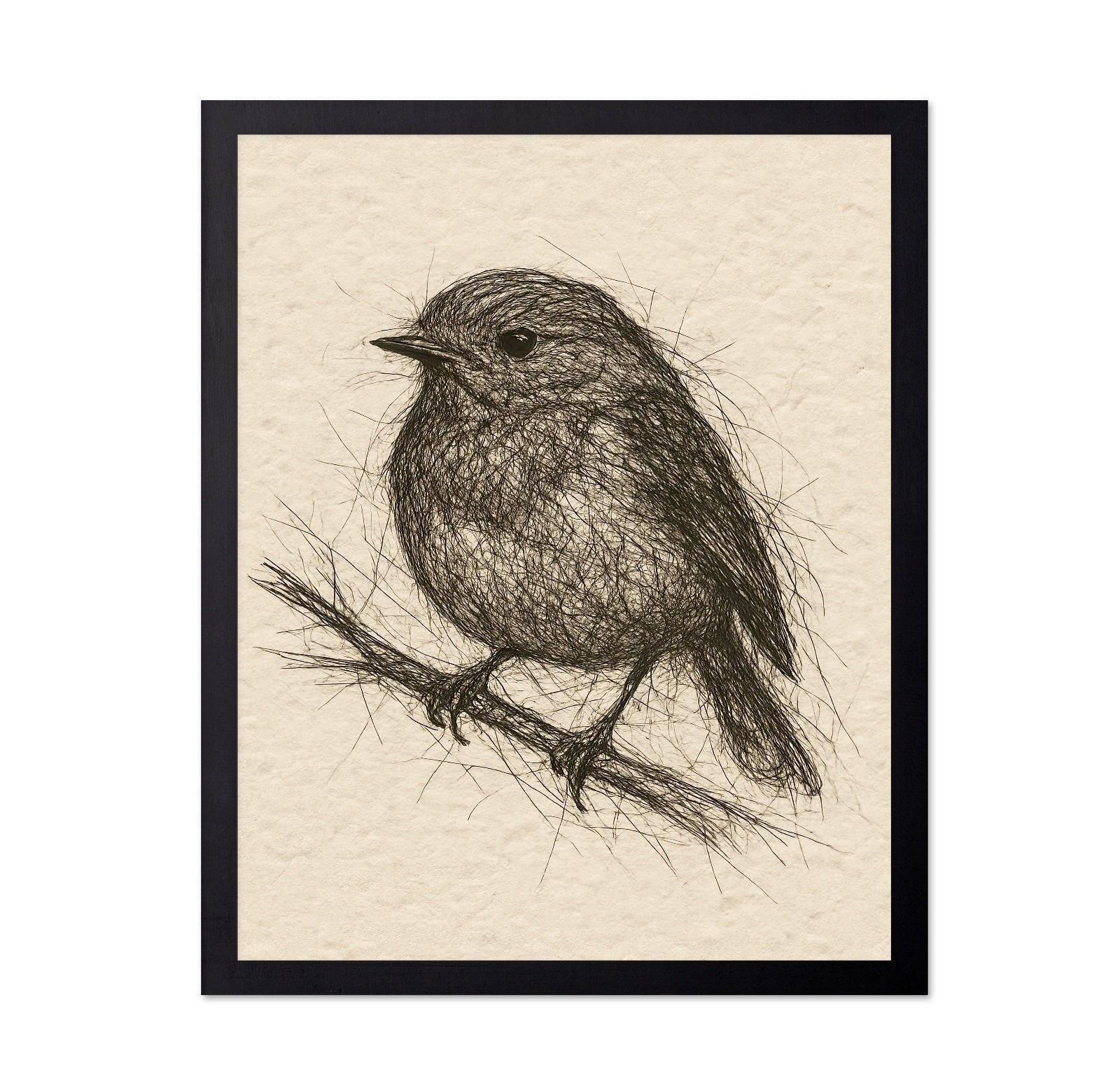 Sketch Bird Branch