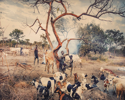 Village Life With Goats