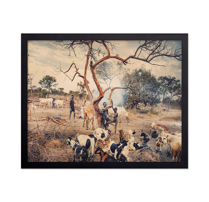 Village Life With Goats