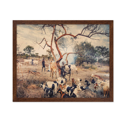 Village Life With Goats