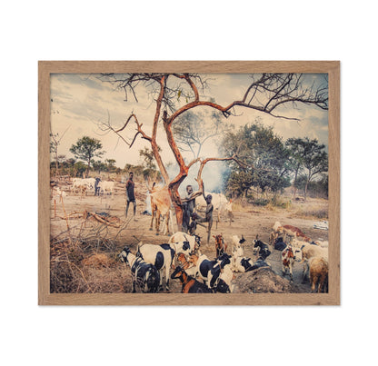 Village Life With Goats