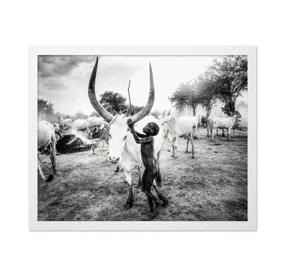 Boy With Long Horn Cattle
