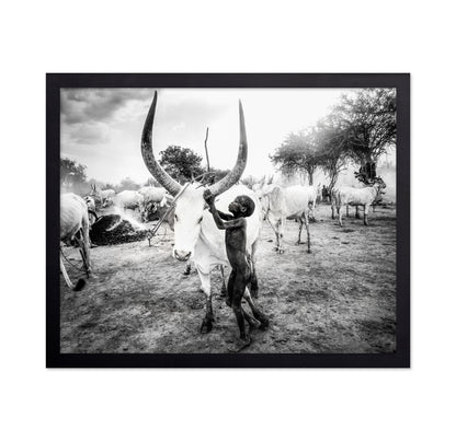 Boy With Long Horn Cattle