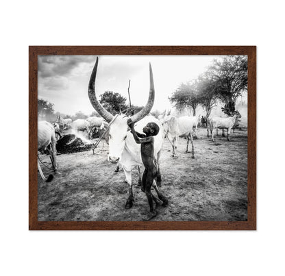 Boy With Long Horn Cattle