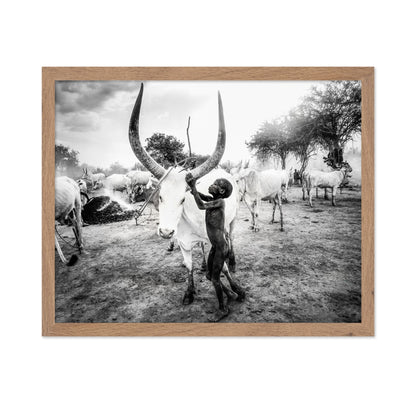 Boy With Long Horn Cattle
