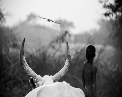 Horns And Boy Silhouette