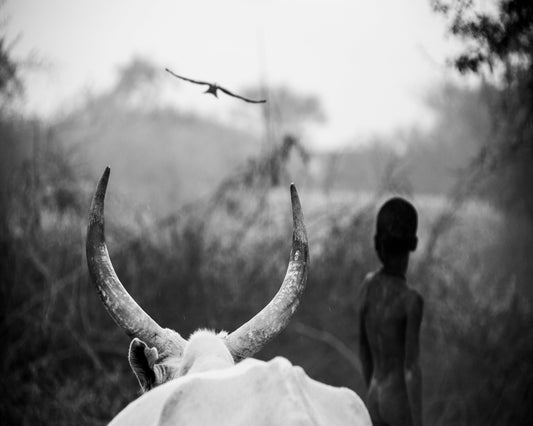 Horns And Boy Silhouette