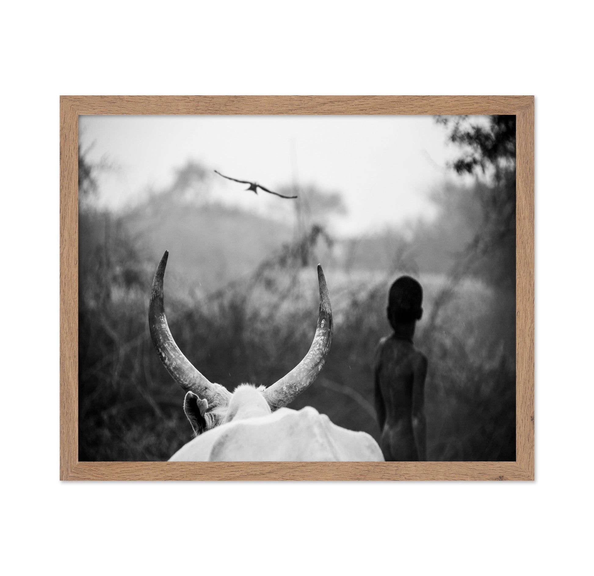 Horns And Boy Silhouette