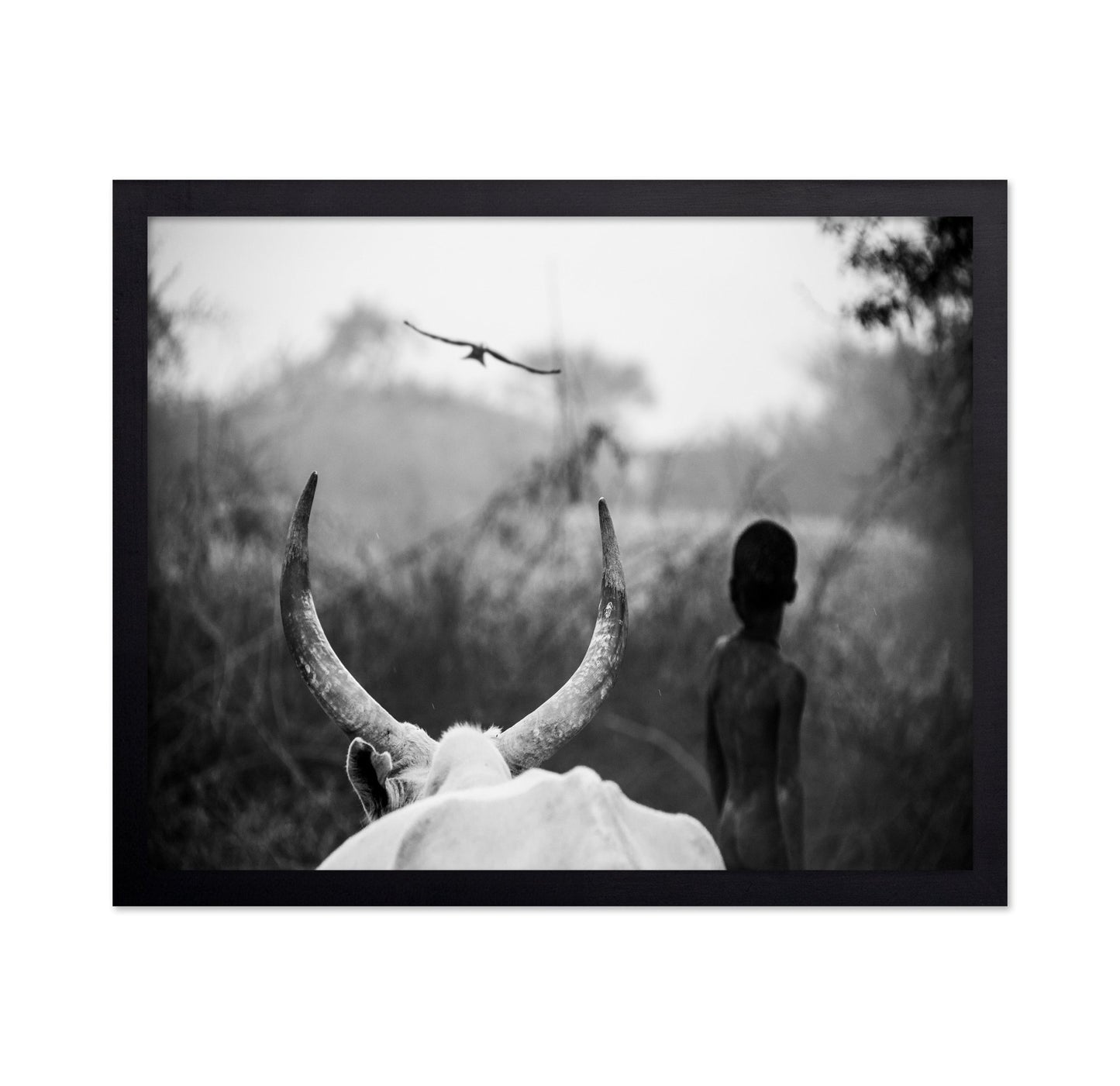 Horns And Boy Silhouette