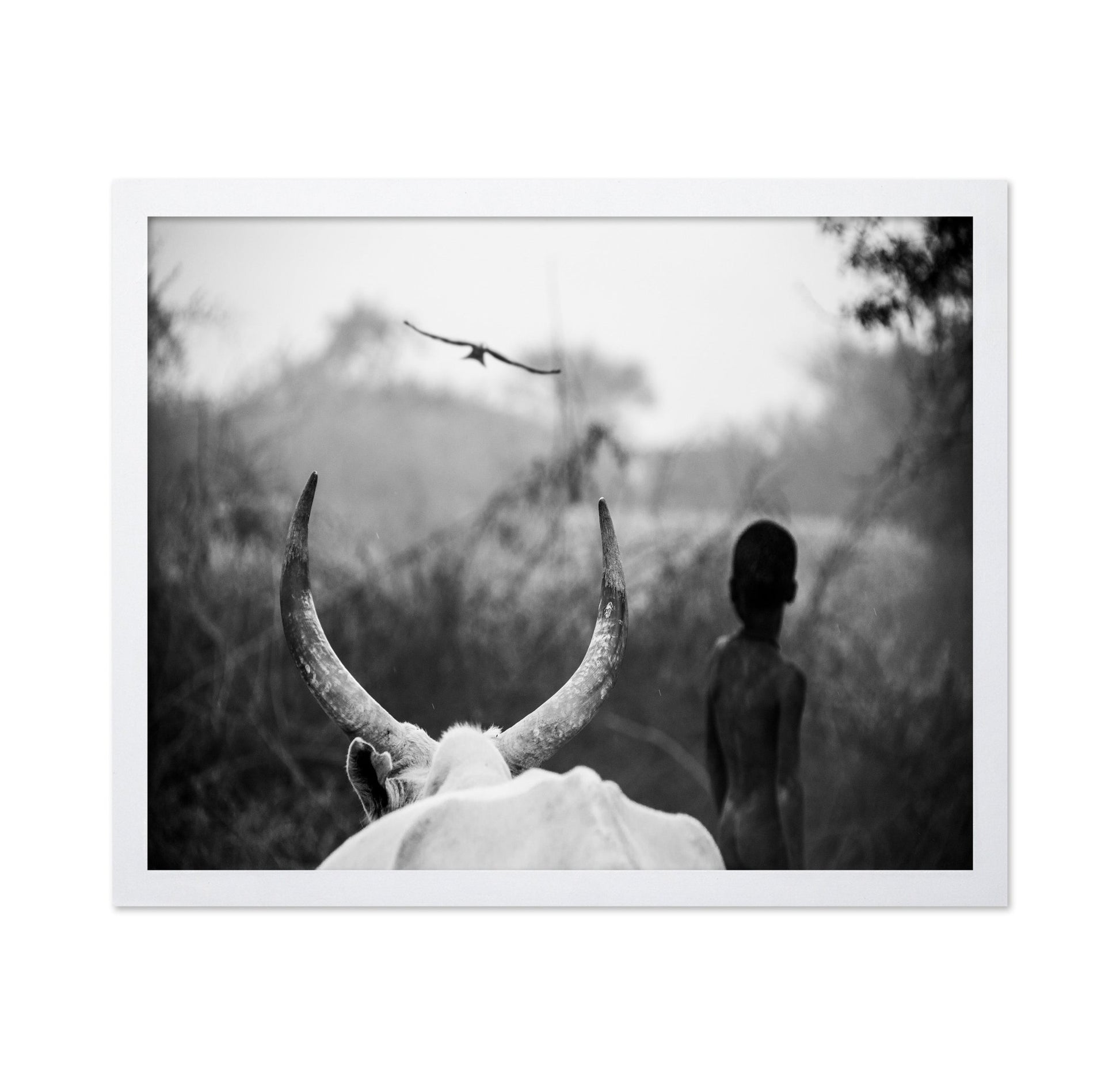 Horns And Boy Silhouette