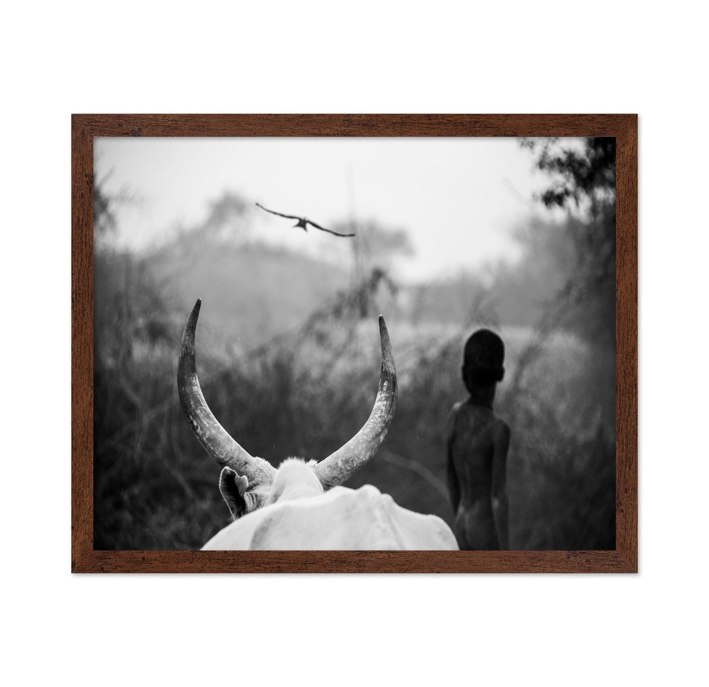Horns And Boy Silhouette