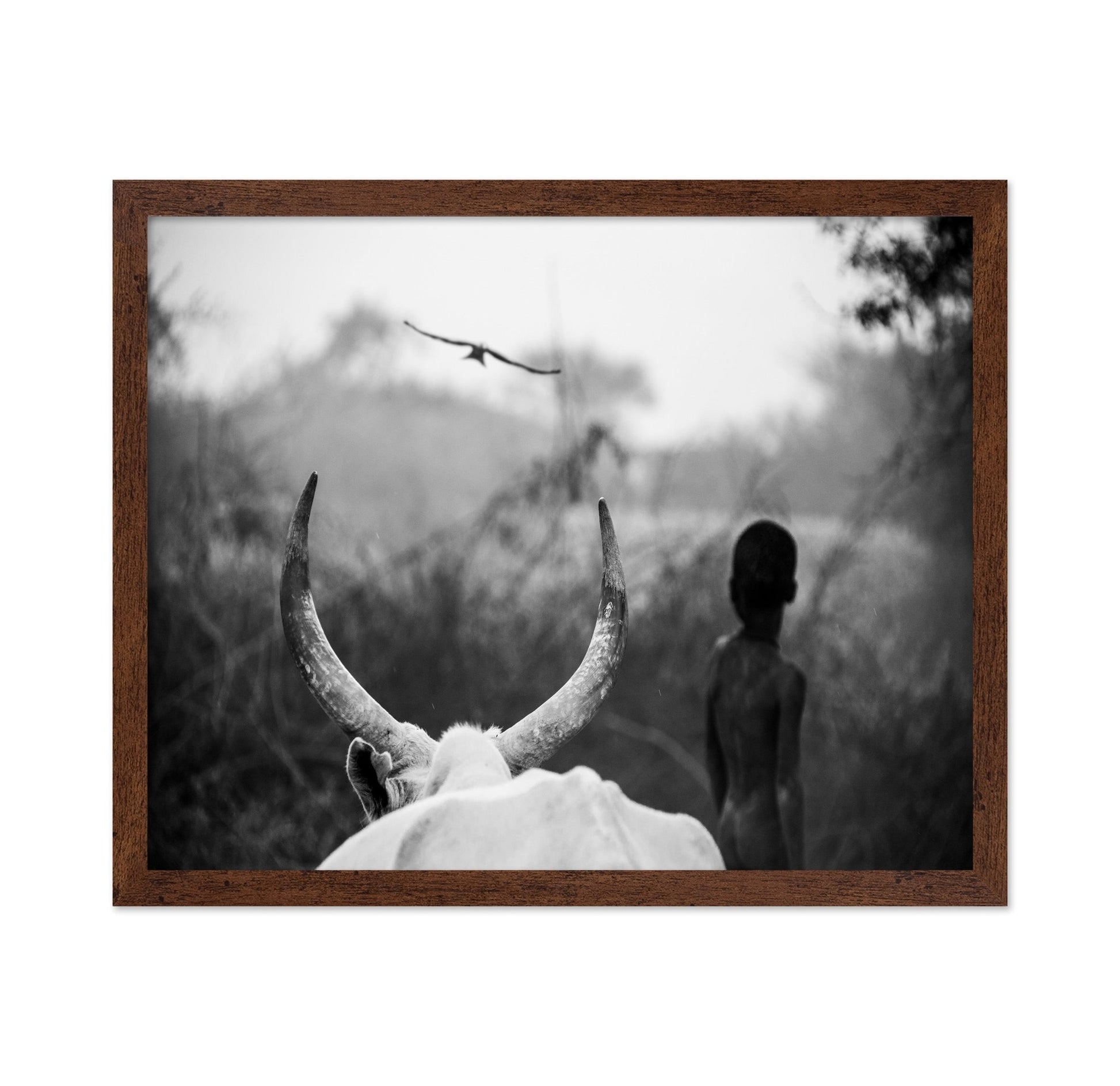 Horns And Boy Silhouette