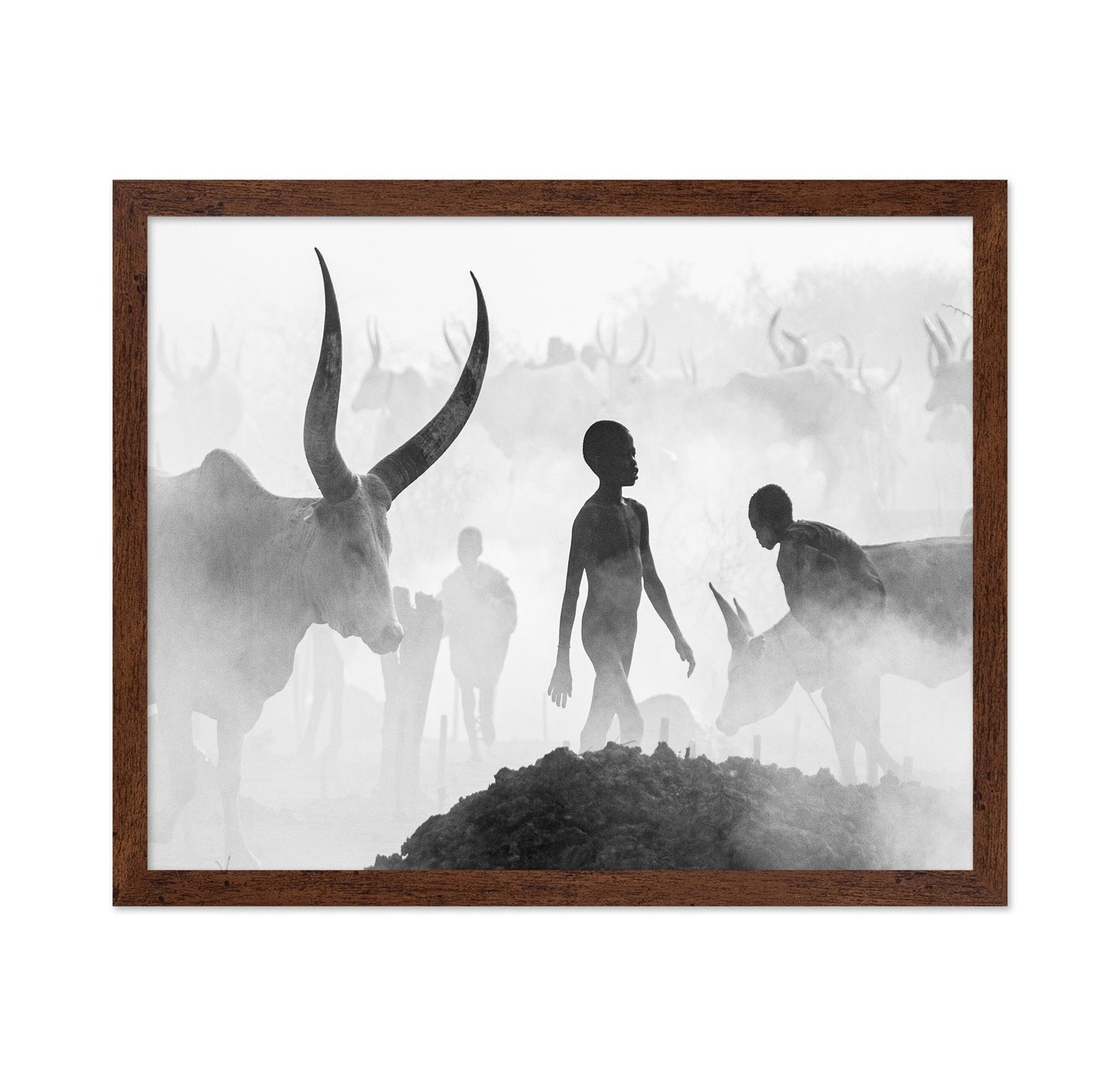Cattle Dust Walk