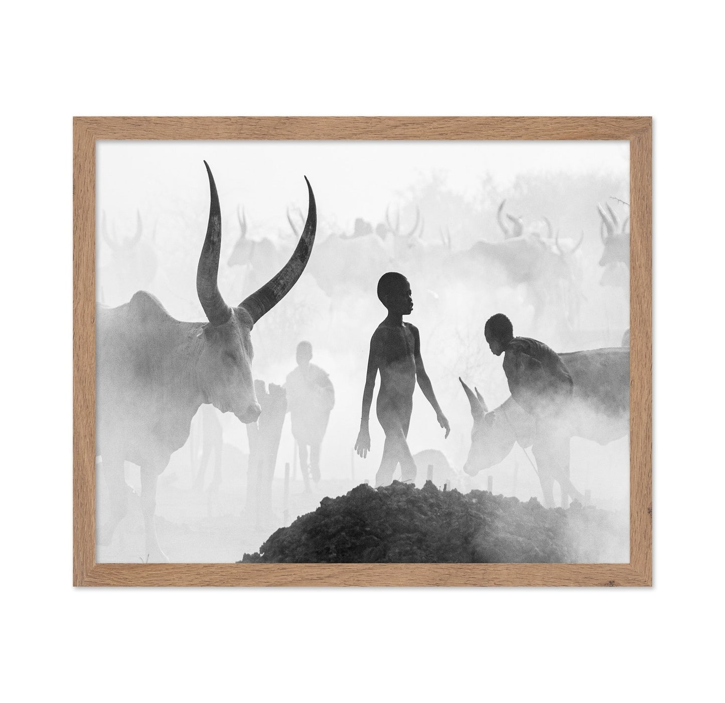 Cattle Dust Walk