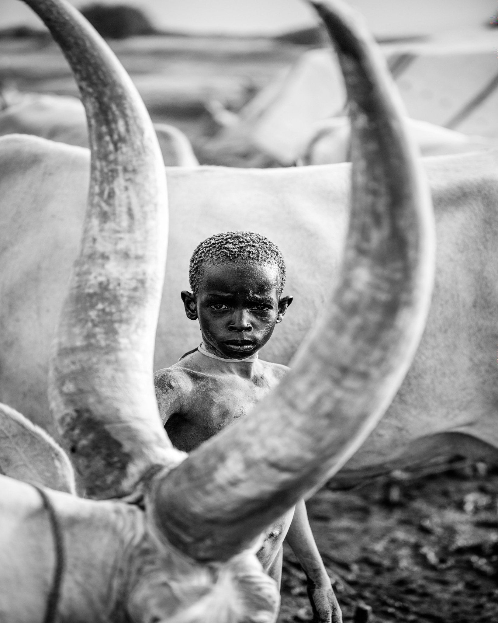 Herd Boy Portrait