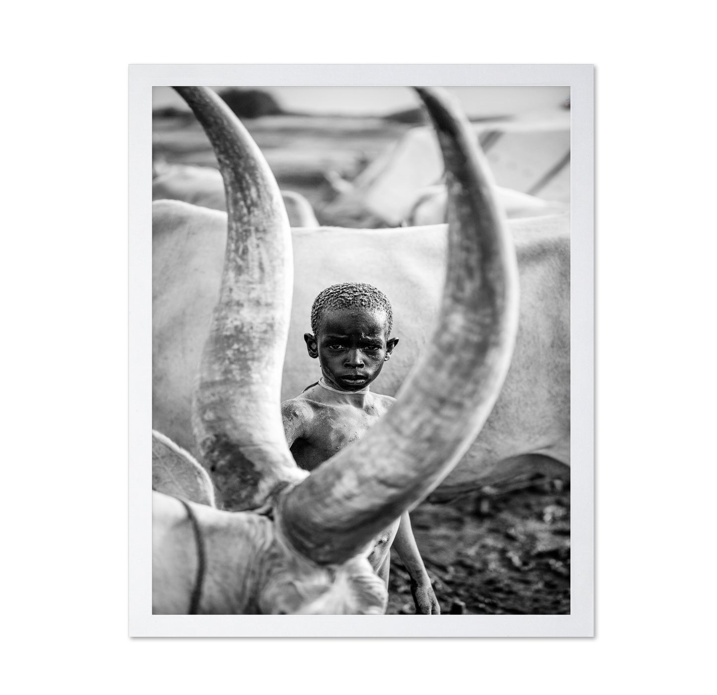 Herd Boy Portrait