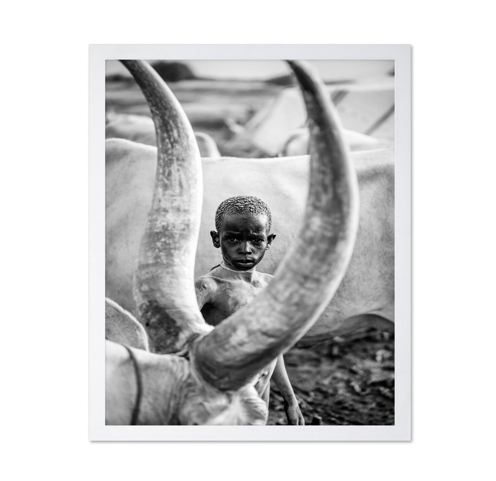 Herd Boy Portrait